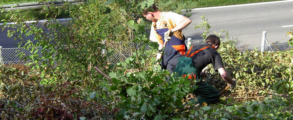 jw_ws_wulp_slider_image_002