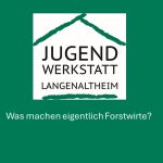🌱 Arbeiten für den Wald – heute und für morgen 🌳